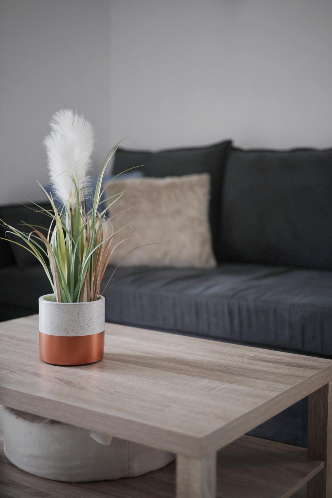 Appartement Familial Avec Jardin Ensoleille Dans La Cite Des Potiers Vallauris Bagian luar foto